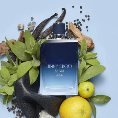 Jimmy Choo Blue Eau De Toilette 100ml